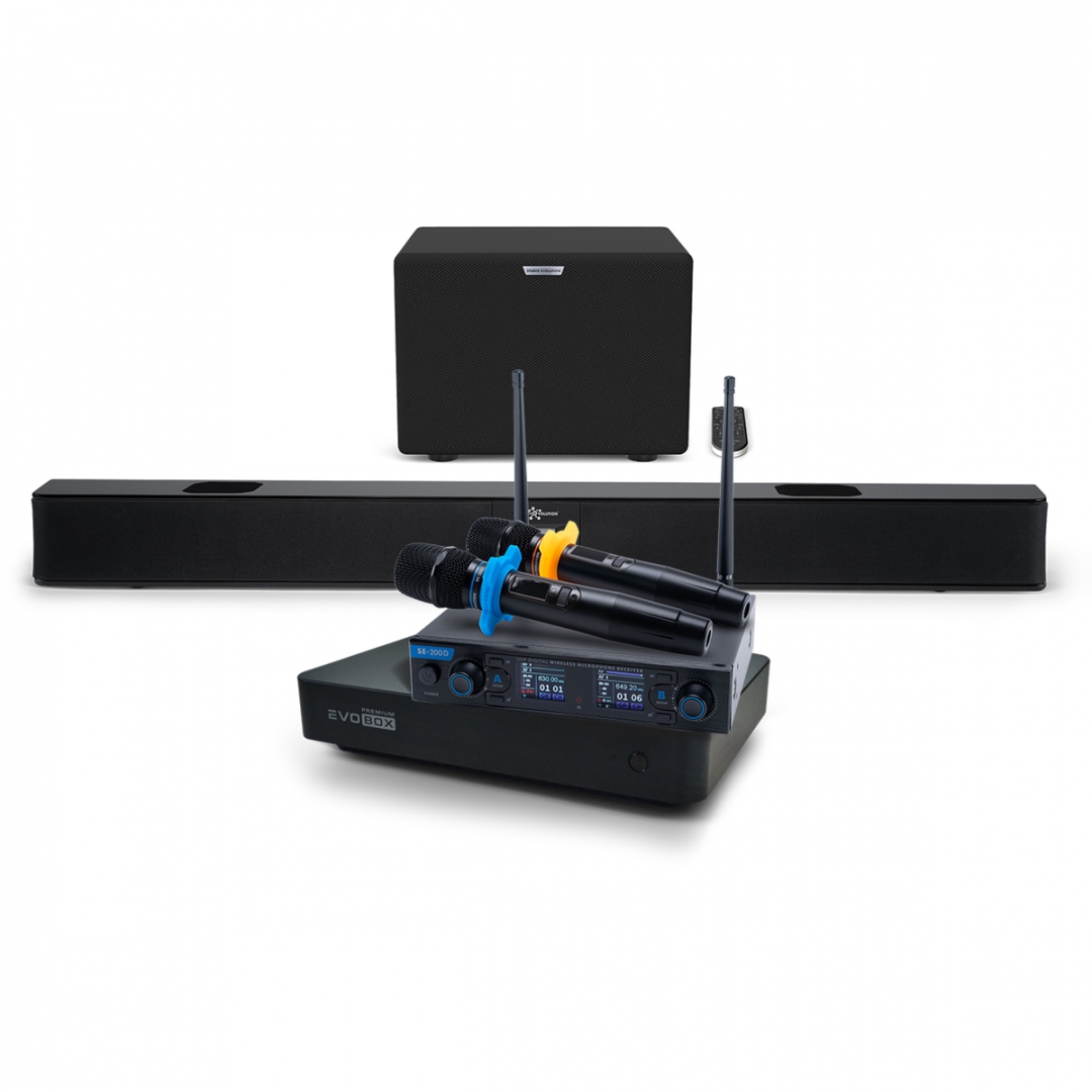 Hi-End караоке-система EVOBOX Premium + EvoSoundBar (саундбар с караоке) в Гаврилов-Яме
