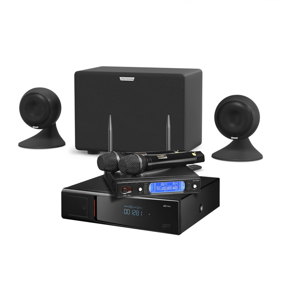 караоке-комплект AST Mini Sound Sphere в Гаврилов-Яме