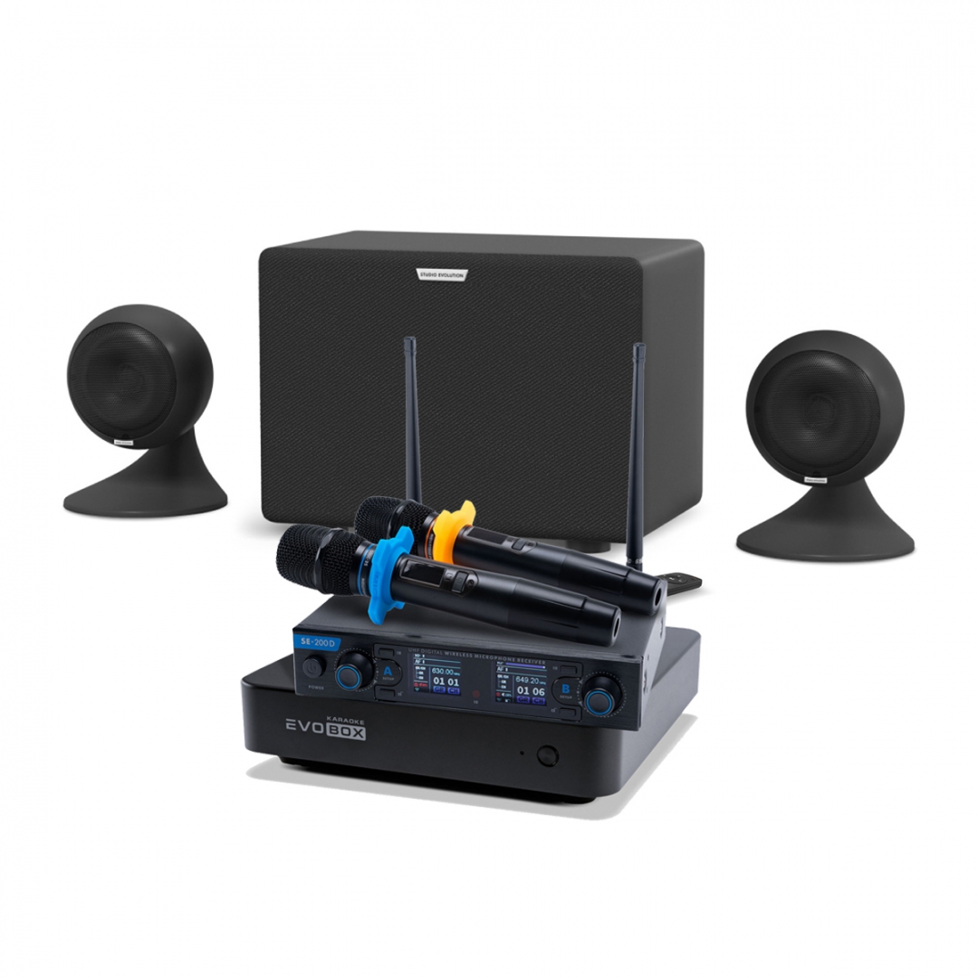 караоке-комплект EVOBOX + EvoSound Sphere 2.1 в Гаврилов-Яме