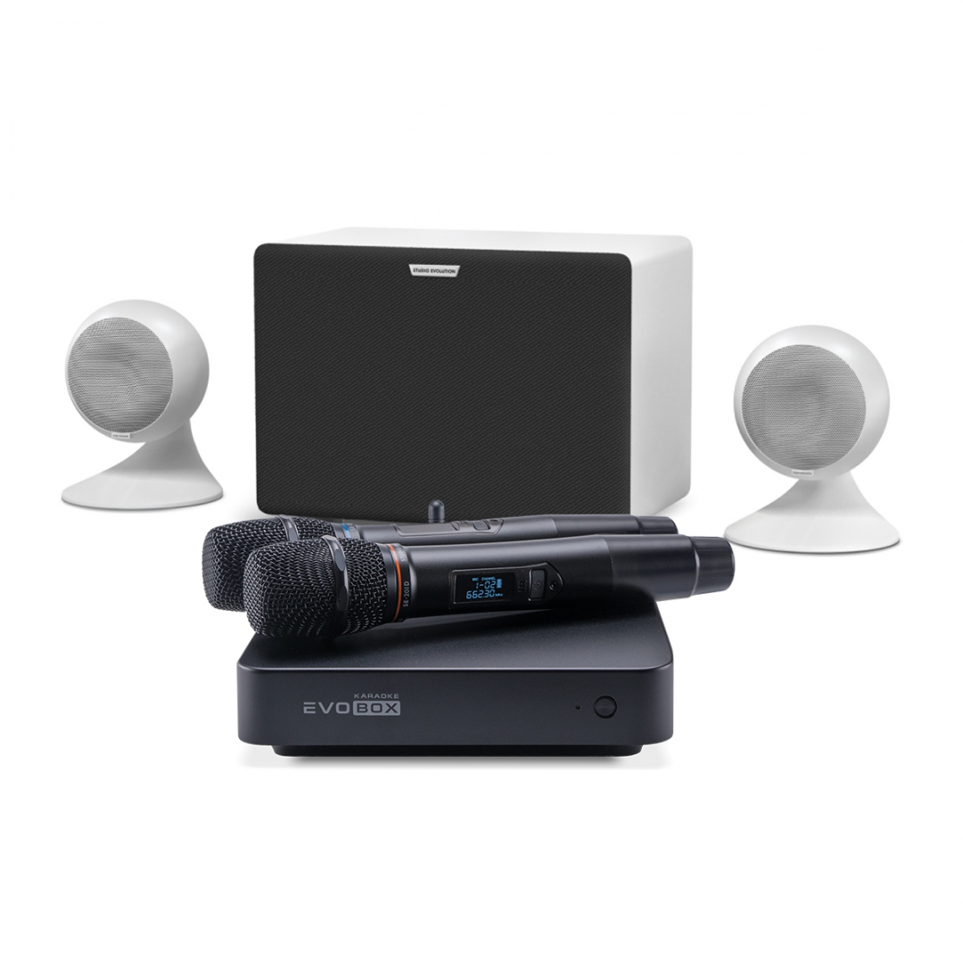 караоке-комплект EVOBOX Classic + EvoSound Sphere 2.1 в Гаврилов-Яме