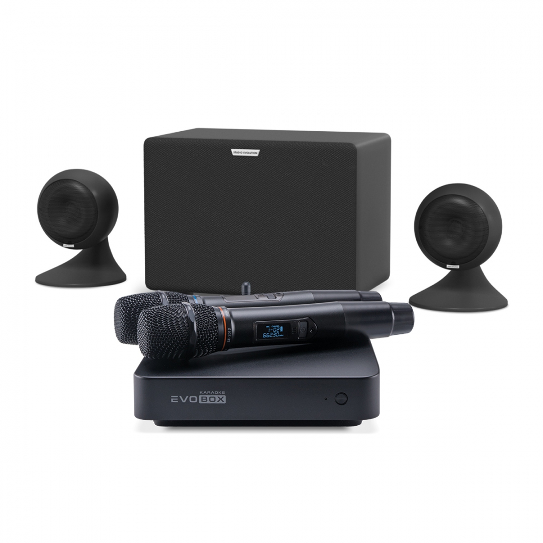 караоке-комплект EVOBOX Plus + EvoSound Sphere 2.1 в Гаврилов-Яме