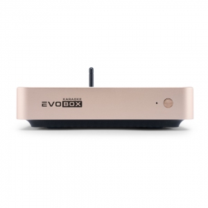 EVOBOX Plus караоке-система для дома в Гаврилов-Яме